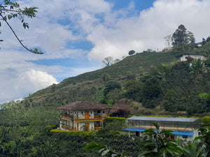 Hillside with houses and greenery under a blue sky with clouds
